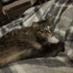 Meet your Posher, Aidyn